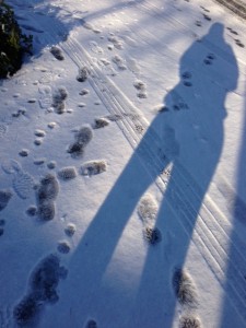 snowrun