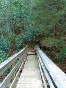 mountain bridge