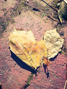 leafheart